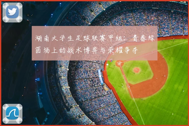 湖南大学生足球联赛甲组：青春绿茵场上的战术博弈与荣耀争夺