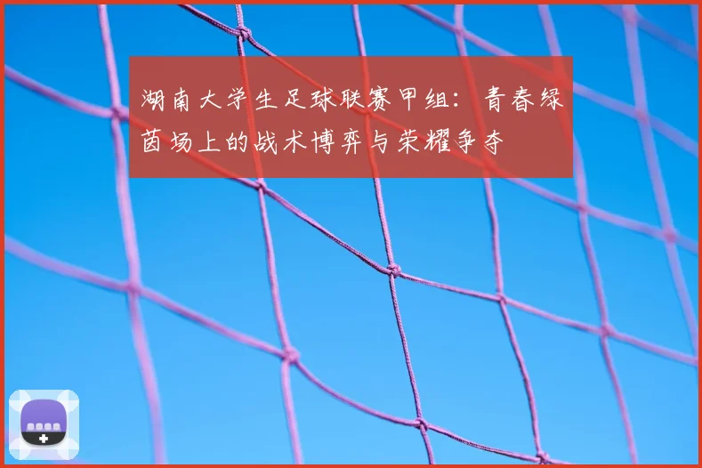湖南大学生足球联赛甲组：青春绿茵场上的战术博弈与荣耀争夺