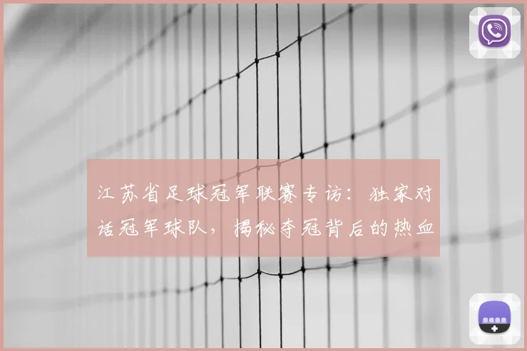江苏省足球冠军联赛专访：独家对话冠军球队，揭秘夺冠背后的热血征程